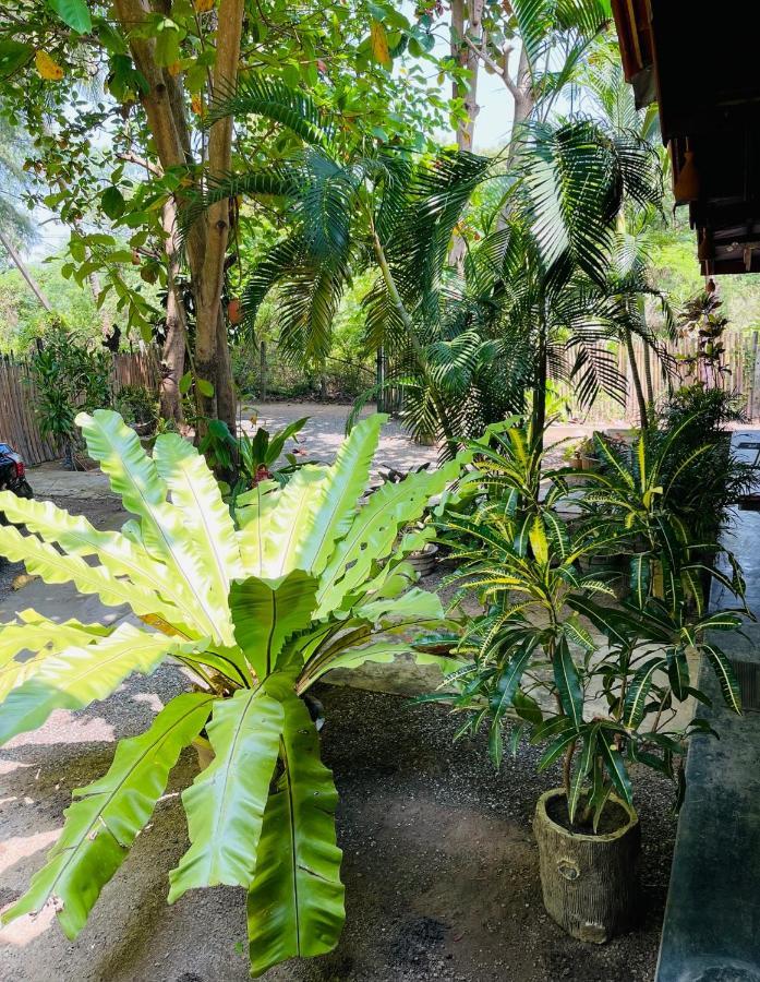 New Roy Guest House Kalkudah  Buitenkant foto