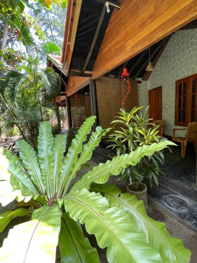 New Roy Guest House Kalkudah  Buitenkant foto